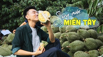 Mùa sầu riêng ở Miền Tây, bạn có biết? Nông nghiệp Việt Nam