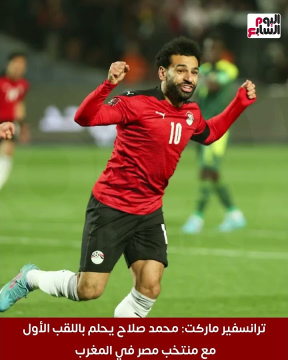   ..     --       
 - نشر قبل 2 ساعة