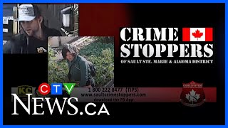 Sault police look to identify suspects in recent case of backyard mischief, garage theft
