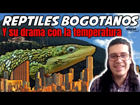 Video: Complicaciones De La Temperatura Corporal Baja En Reptiles