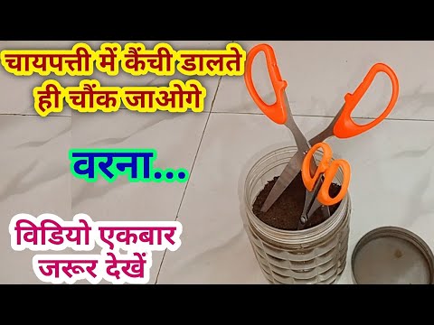 कैंची चायपत्ती में डालते ही कमाल हो गया ,बहुत जरूरी वीडियो है एक बार जरूर देखे | 2024 kitchen tips