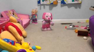 Doggy Boom