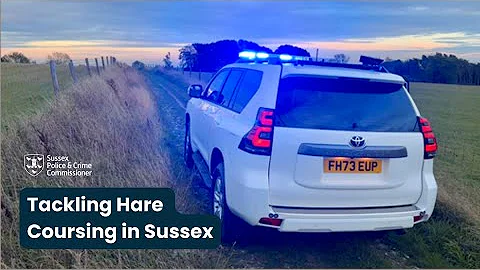 Tackling Hare Coursing in Sussex