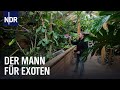Seelter Reptilienhuus: Zu Hause für Krokodil &amp; Co.| Die Nordreportage | NDR Doku