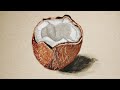 Coconut drawing easy coconut drawing coconut coconutdrawing art realisticdrawing easydrawing