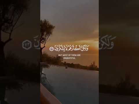 أستمع القرآن الكريم صباح الخير