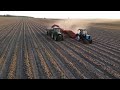 Harvesting onions Ukraine 2020🇺🇦🇺🇦🇺🇦