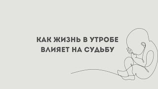 Как жизнь в утробе влияет на судьбу