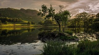 10 Hours Of Relaxing Indian Flute Meditation Music  Soothing Native American Flute Music For Sleep⛅