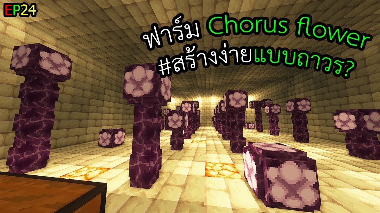 ฟาร์ม chorus flower แบบถาวร? Ep24 minecraft 1.19.3 YouTube