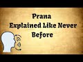 Prana - Explained Like Never Before !!