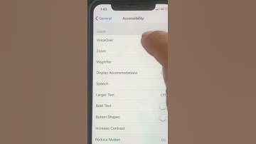 Enable & Disable Zoom on iPhone X