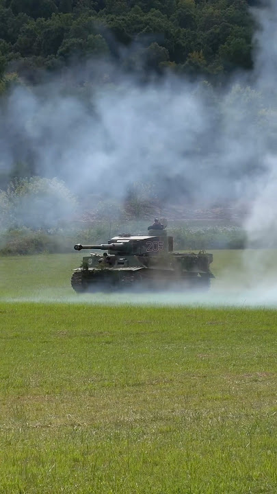 🇩🇪 Tiger Tank Demonstration #ww2 #livinghistory (Replica Tiger)