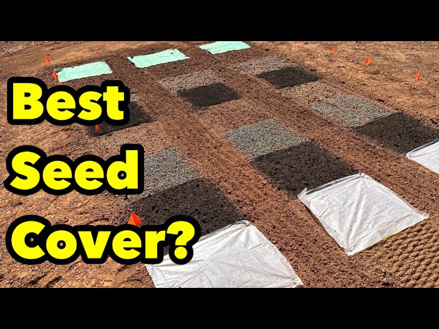 Bare Dirt Seeding With 7 Grass Seed Coverings Which Grass Seed Covering  Works The Best? - YouTube