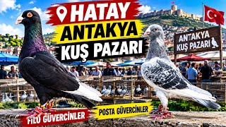 Antakya Kuş Pazari̇ Şami̇ 30.000 Tl