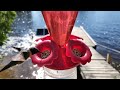 4k  at the lake  beautiful closeup of a hummingbird