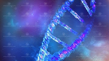 A section of a DNA strand close-up.