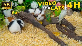 Cat TV for Cats to Watch 😺 Guinea Pigs and Birds Sharing a Woodland Feast 🐭🐦 4K UHD screenshot 4