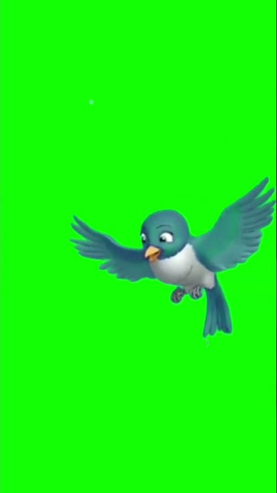 Animal Bird Flying Green Screen | First Green Screen | #firstgreenscreen
