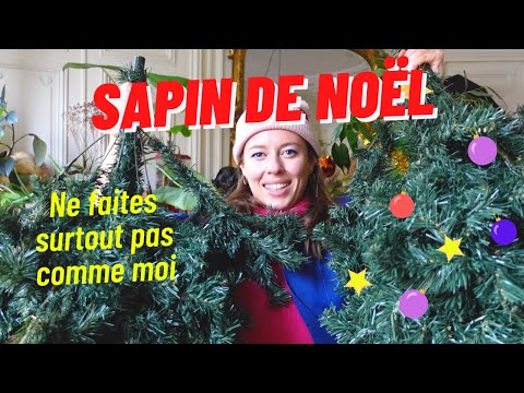 Vidéo: Comment Choisir Une Visite Pour Noël