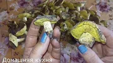 Зеленушки. Консервируем зеленки грибы в домашних условиях