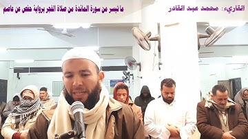 تلاوة ما تيسر من سورة المائدة من صلاة الفجر | يوم يجمع الله الرسل| محمدعبدالقادر| قناة الدين النصيحة