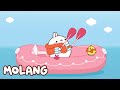 🩵✨ The Castaways | Molang | Cartoons for Kids