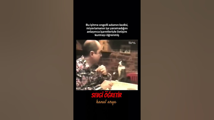 Sevgi dili #sevgi #empati #öğrenme #işitmeengelli #kedi #kediseverler #cat #catlover #kedivideoları