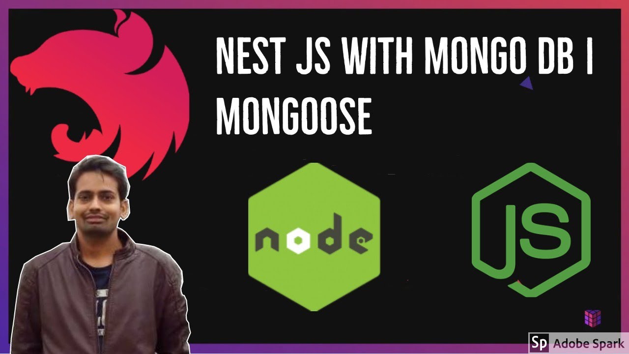 Nest S with Mongo DB API development #21