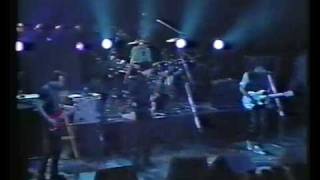 Tom Verlaine Dissolve Reveal