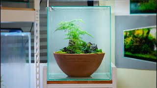 Pottery that you have at least one at home! Let's change the mood with Terrarium! by 내츄럴팟 NATURALLPOT 12,575 views 2 years ago 5 minutes, 42 seconds