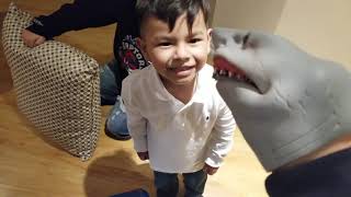 Shark puppet cousin's birthday party