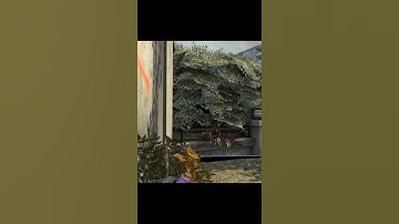 stavn Overpass Monster Smoke from Flowers CSGO #Shorts