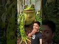 #giant #frog बापरे! कितना बडा मेंढक! #animal #ai