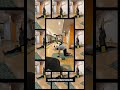 Best Yoga Center in Delhi | Coreflex Pilates Studio  | Strength, Flexibility &amp; Balance In Delhi