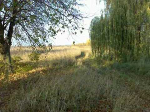 Глебовка.avi