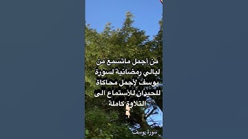 ترتيل مبكي وخاشع #سورة #يوسف لأجمل #محاكاه #اللحيدان للقارئ عبدالرحمن ناجي