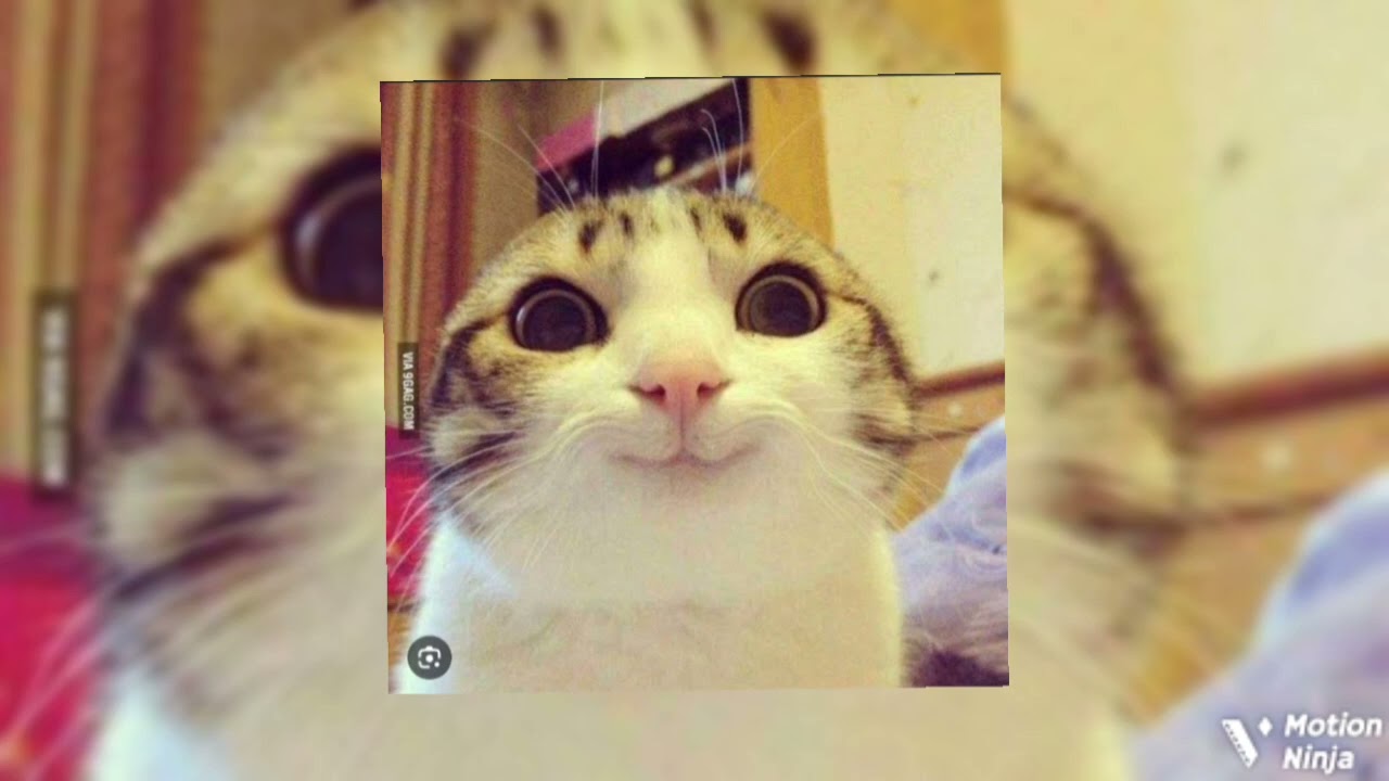 Break this to the breaking point 2 slowed + slightly reverbed