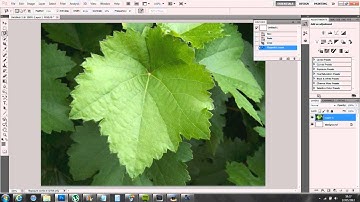 Adobe Photoshop CS5 | Howto Blur Out The Background