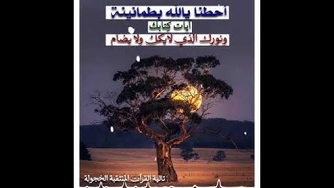 حالات واتس اب بصوت جميل جدا 😴حالات واتس اب دينية 💙تلاوة خاشعة ❤أيات قرانية قصيرة 💛مقاطع انستغرام