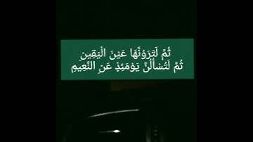 مشاري البغلي - سورة التكاثر             mishari albaghli - altkathr