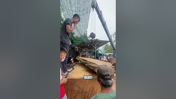 Những điều bạn chưa biết về gỗ lim | Sơn Sập Gỗ