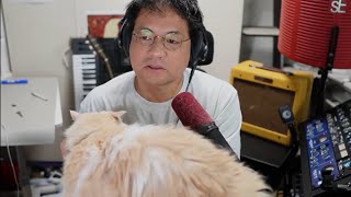 【感想】参院選速報