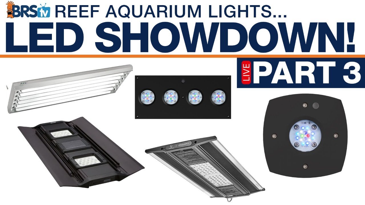 BRStv's Reef Tank Lighting Showdown (Part 3): Prime 16, Hydra 64, QMaven, 8-Bulb T5, Maxspect Razor