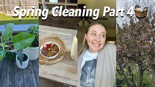 spring clean my home with me part 4//repotting plants, dusting, cleaning routine