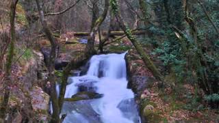 FERVENZA DE MAIMONS - A ESTRADA