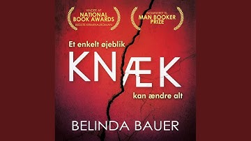 Chapter 12.4 & Chapter 13.1 - Knæk