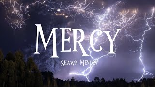Shawn Mendes – Mercy