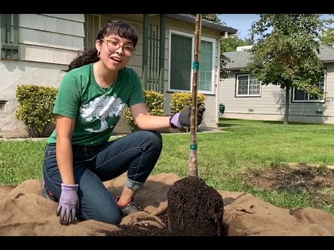 Video: Maaari ba akong Maglagay ng Wood Chips sa Compost: Mabuti ba ang Wood Chips Para sa Compost