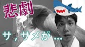 スティッチぬいぐるみ洗濯 3g2 Youtube スティッチぬいぐるみ洗濯 3g2 Youtube